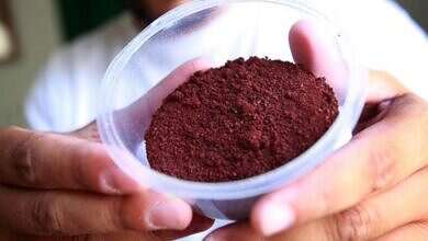 صبغة طعام (مواقع)