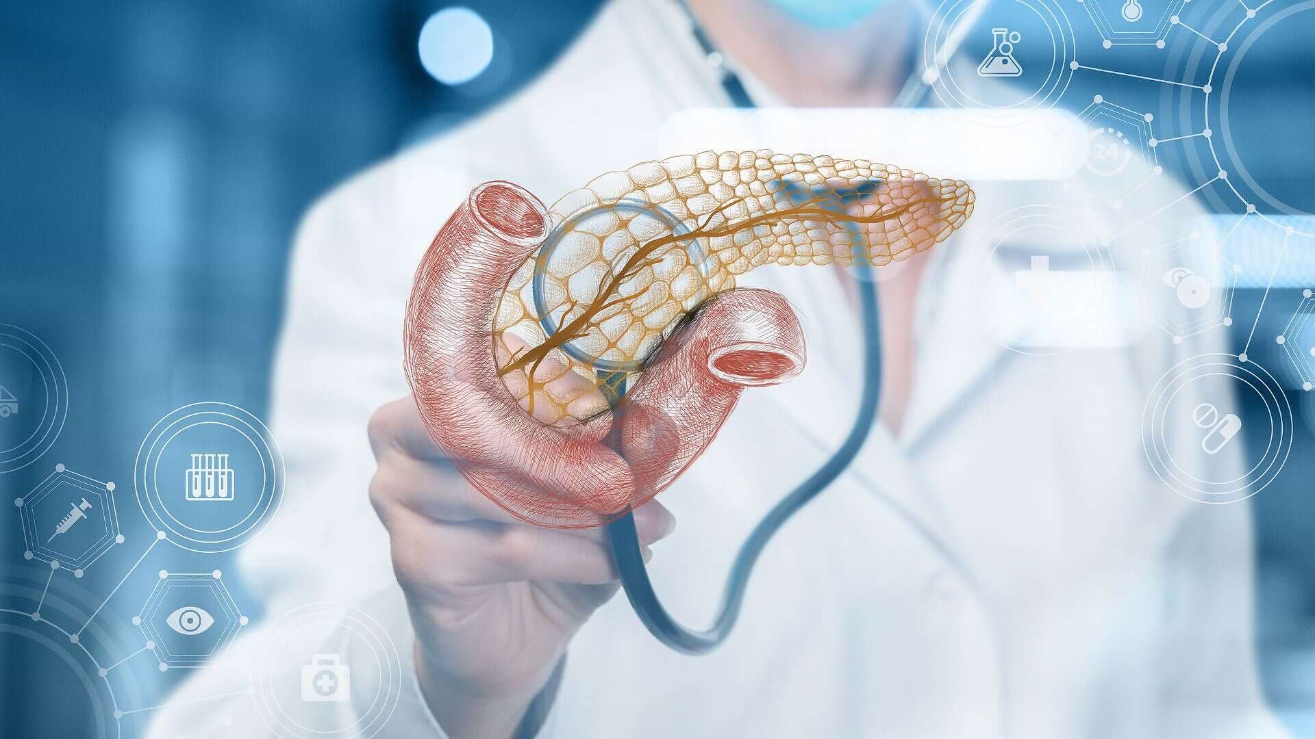 بنكرياس صورة تعبيرية (مواقع)