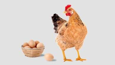 صورة تعبيرية (مواقع)