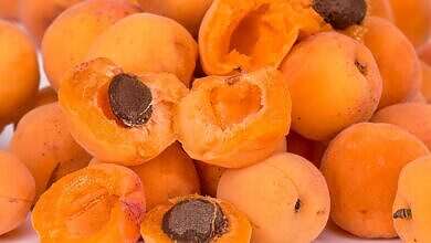 ثمرة المشمش (موقع)