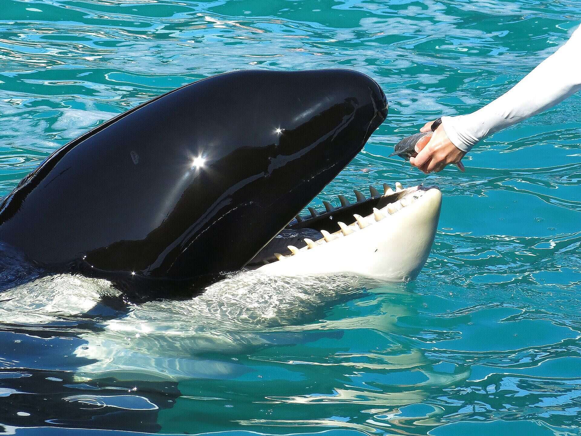 صورة تعبيرية (مواقع)