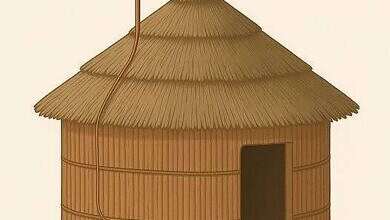 صورة تعبيرية (مواقع)